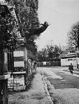 Klein: Salto al vaco, 1960